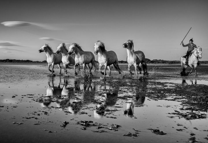 Photographie intitulée "Cavalcade" par Eric Weytens, Œuvre d'art originale, Photographie numérique Monté sur Autre panneau r…