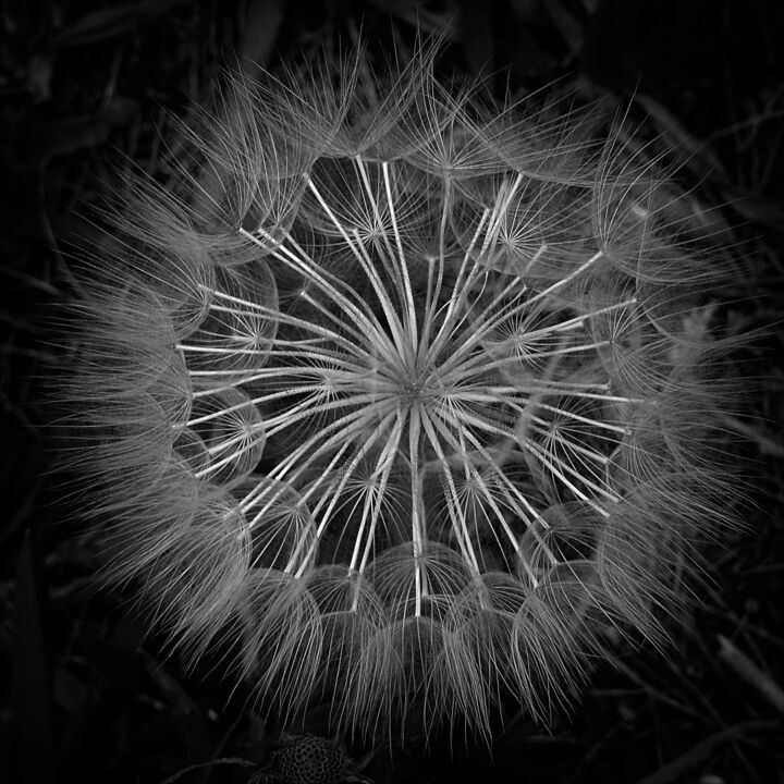 Photographie intitulée "Sans titre n°302" par Philippe Clerc, Œuvre d'art originale, Photographie numérique