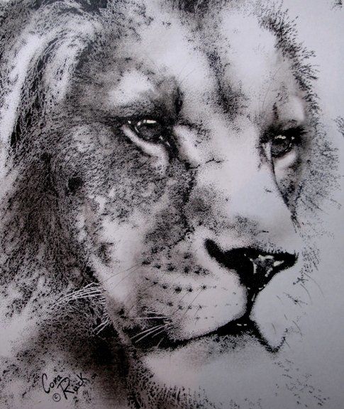 Drawing titled "Unknown Lion" by Cora Ruck, Original Artwork