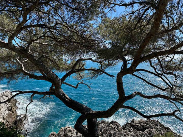 Photographie intitulée "Roquebrune - Cap Ma…" par Cordula Sachse-Seeboth (Cœur Solaire), Œuvre d'art originale, Photographie…