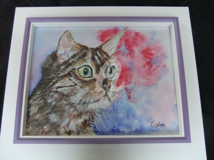 Painting titled "chat" by Coco, Original Artwork, Acrylic