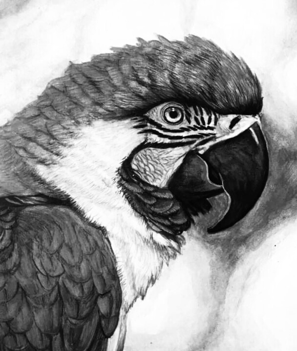 Peinture intitulée "Raven" par Cornelius Keagon, Œuvre d'art originale, Crayon