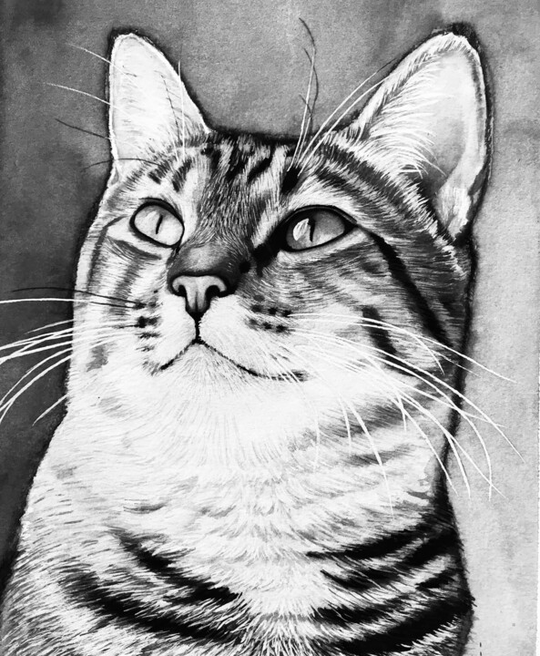 Painting titled "Kitty Kat" by Cornelius Keagon, Original Artwork, Oil