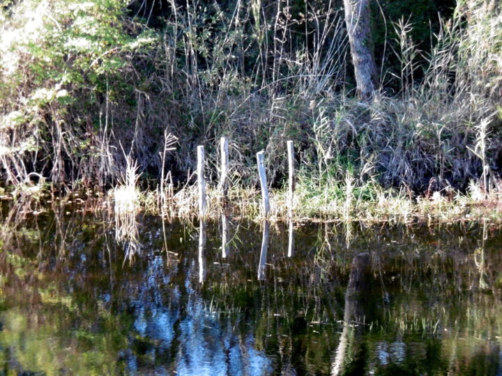 Photography titled "reflet" by Charles Cornil, Original Artwork