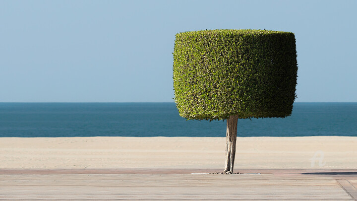 Fotografia zatytułowany „L'arbre” autorstwa Corpron, Oryginalna praca, Fotografia cyfrowa