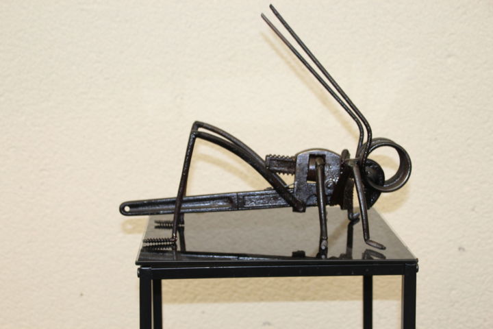 Sculpture titled "sauterelle.jpg" by Philippe Affagard, Original Artwork, Metals