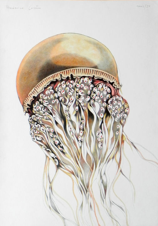 Disegno intitolato "orange jellyfish" da Federico Cortese, Opera d'arte originale, Matita