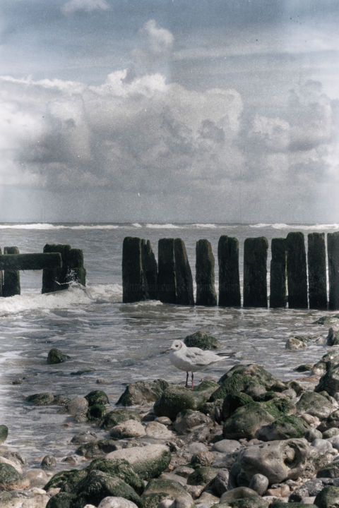 Photography titled "Normandie.jpg" by Cosmina Lefanto, Original Artwork