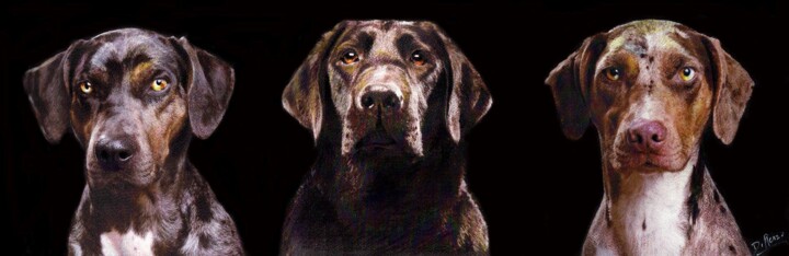 Dessin intitulée "CANI" par Costantino Di Renzo, Œuvre d'art originale, Acrylique