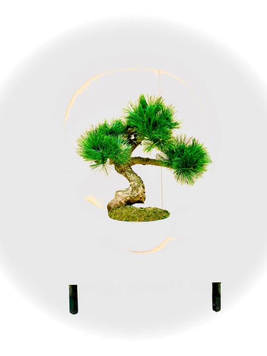Fotografia zatytułowany „Bonsai” autorstwa Cotan, Oryginalna praca, Fotografia cyfrowa
