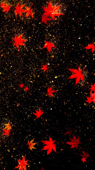 Photography titled "Autumn  Leaves" by Cotan, Original Artwork, Digital Photography