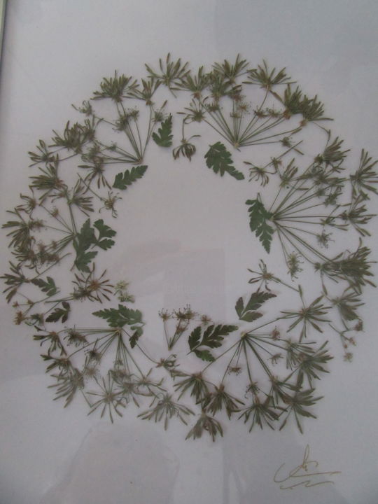 Collages intitulée "herbier modere" par Coussins Et Dentelles, Œuvre d'art originale, Collages Monté sur Autre panneau rigide