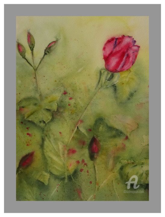 Pintura intitulada "roses-de-mai-2017-e…" por Françoise Coutentin, Obras de arte originais, Aquarela