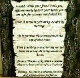 Painting titled "CP194edited.jpg" by Cpdesign, Original Art,