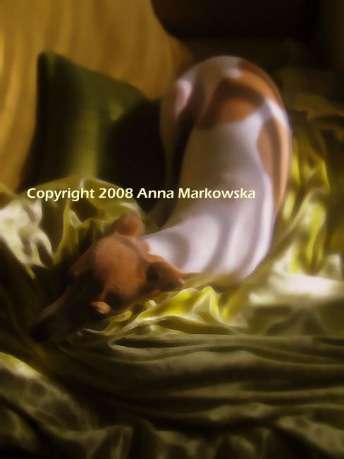 Photographie intitulée "Precious" par Anna Markowska, Œuvre d'art originale,