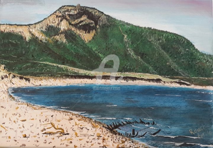 Pittura intitolato "The Wreck of North…" da Roachie - The Gallipoli Artist, Opera d'arte originale, Acrilico