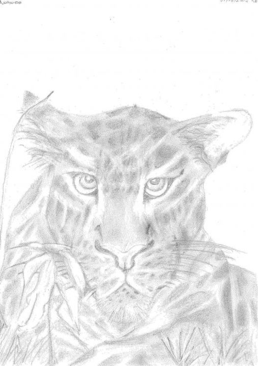 Dessin intitulée "leopard waiting" par Avendran Naidoo, Œuvre d'art originale