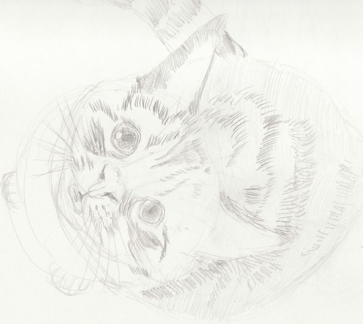 Dessin intitulée "cat-by-orcasforever…" par Ling Jie Gu, Œuvre d'art originale