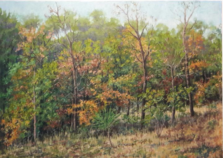 Peinture intitulée "Sous bois" par Jean Bernard Créquis, Œuvre d'art originale, Huile