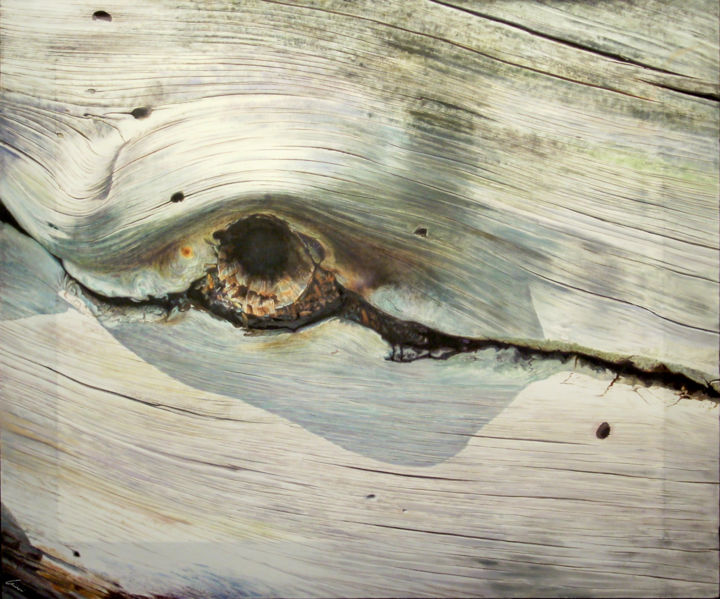Peinture intitulée "Occhio di legno - o…" par Alessandro Crini, Œuvre d'art originale