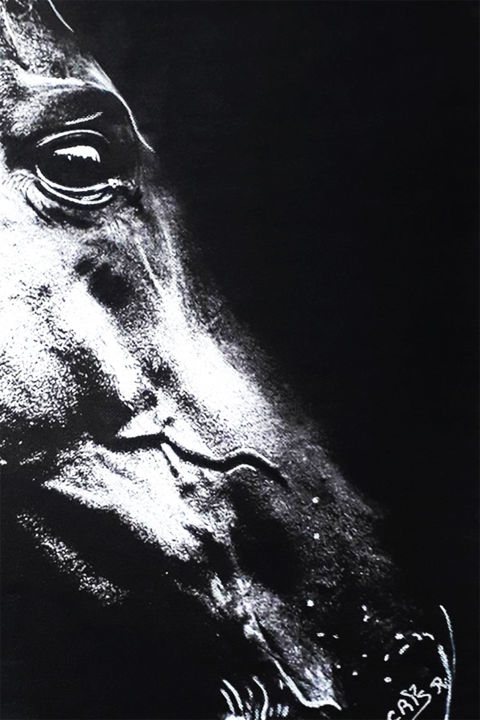 Drawing titled "“Le vieux cheval”" by Cris R., Original Artwork, Charcoal