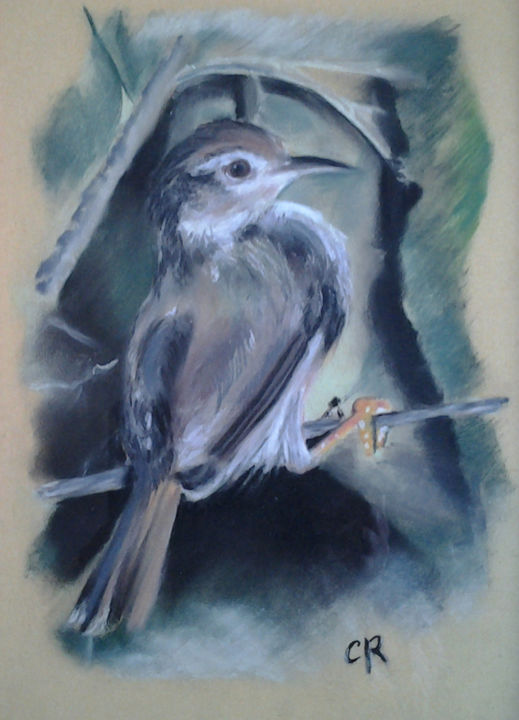 Drawing titled "oiseau.jpg" by Cristelle Ryba Isoard, Original Artwork
