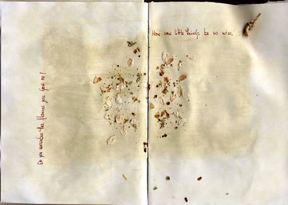 Colagens intitulada "the white book" por Cristina Oliveira, Obras de arte originais
