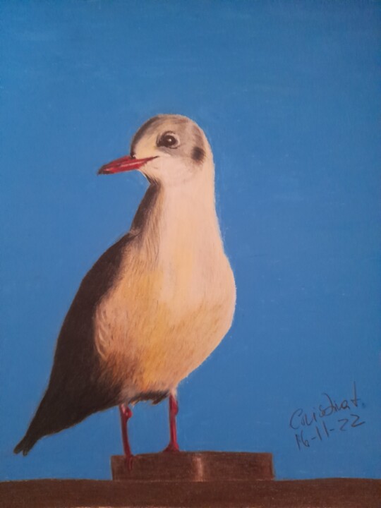 Painting titled "A gaivota" by Cristina Teixeira, Original Artwork, Pencil