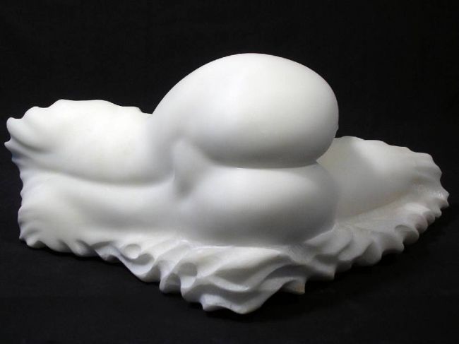 Sculpture titled "Venerupis Aurea n.1" by Cristina Carusi, Original Artwork, Stone