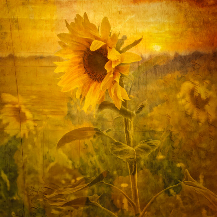Digital Arts titled "Sunset" by Csaba Deak, Original Artwork, Digital Painting