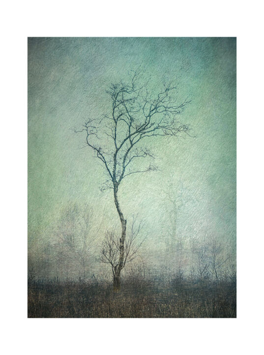 Digital Arts titled "Lonely Tree" by Csaba Deak, Original Artwork, 2D Digital Work
