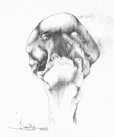 Drawing titled "teratoma head" by Cubehead, Original Artwork, Other