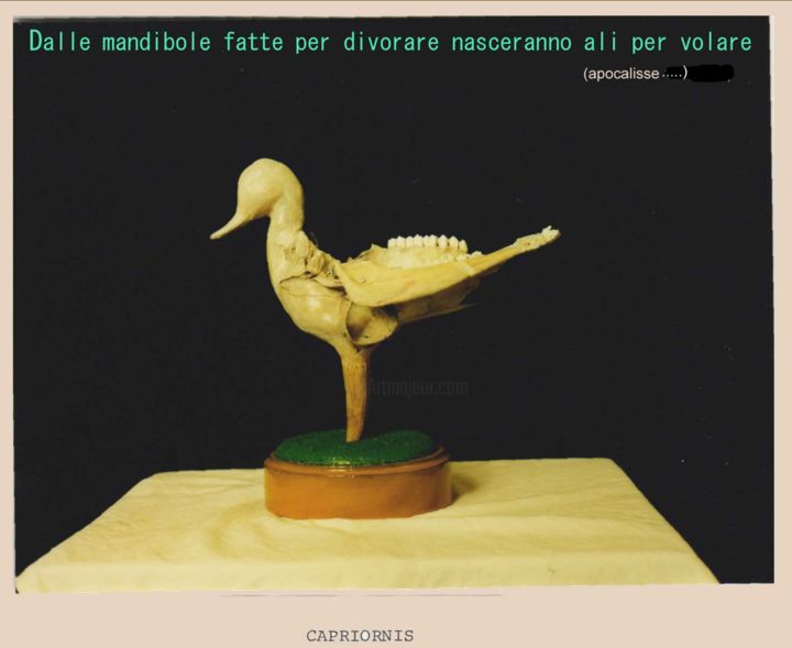 Scultura intitolato "capriornis-copia-1.…" da Bertin Giorgio, Opera d'arte originale,