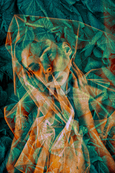 Цифровое искусство под названием "frost woman" - Cuboism Art Design　クボイズムアートデザイン, Подлинное произведение искусства