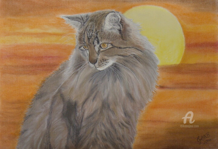 Painting titled "Gato e por do sol" by Cybele Chaves, Original Artwork, Pastel