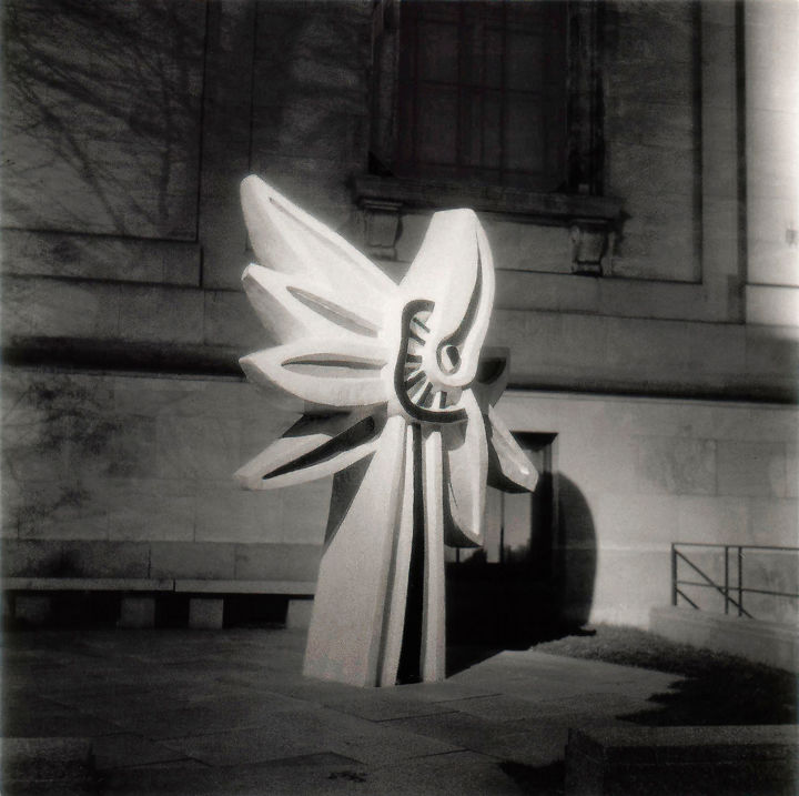 Fotografía titulada "Le Grand Tournesol…" por Ronald Stewart, Obra de arte original