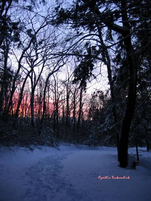 Photography titled "Hiking into Sunset" by Cynthia Brown Yackenchick, Original Artwork