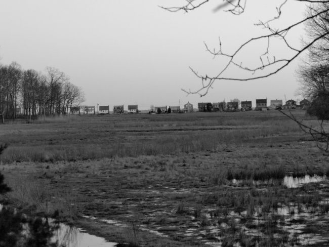 Photography titled "Shore Cottages" by Cynthia Brown Yackenchick, Original Artwork