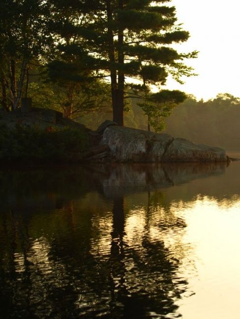 Fotografia intitulada "Evening on Goose Po…" por Cynthia Brown Yackenchick, Obras de arte originais