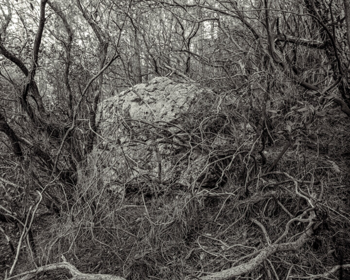Fotografie mit dem Titel "The Forest - 04" von Cyril Bquart, Original-Kunstwerk, Analog Fotografie