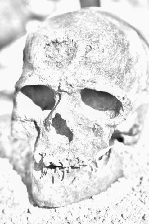 Photographie intitulée "Crâne" par Cyril Comtat, Œuvre d'art originale, Photographie numérique