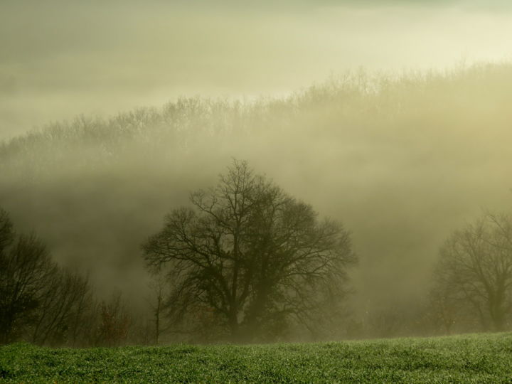 Photography titled "Brumes" by Dominique Montestier, Original Artwork