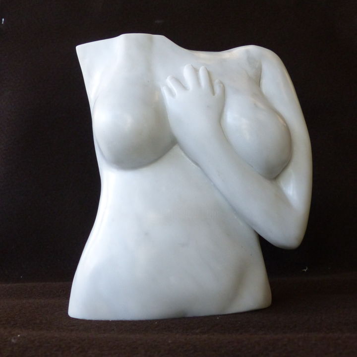 Sculpture intitulée "A propos d'Ana..." par Denis Pugnere, Œuvre d'art originale, Pierre