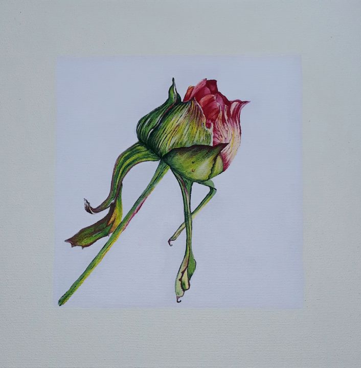 Картина под названием "Flower pion" - B.R.☆, Подлинное произведение искусства, Акрил Установлен на Деревянная рама для носил…