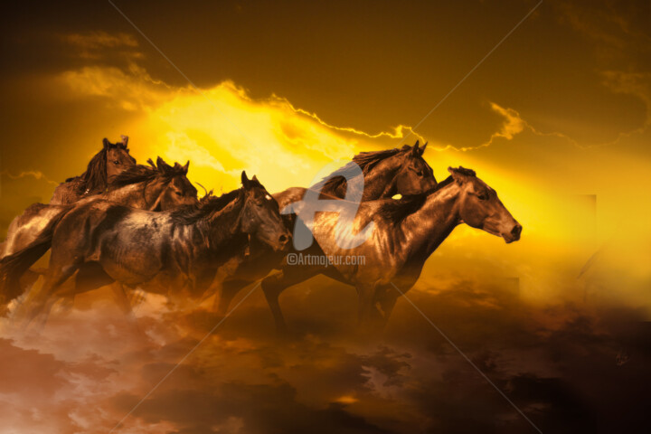 Digital Arts titled "Horses Running Abov…" by Dahuyn, Original Artwork, Digital Painting