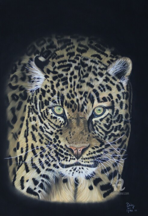 Disegno intitolato "I'm coming (Leopard…" da Daisy Van Der Zijden, Opera d'arte originale, Pastello
