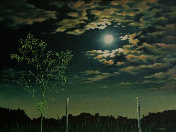 Painting titled "CLAIR DE LUNE" by Alain Dambès, Original Artwork, Oil