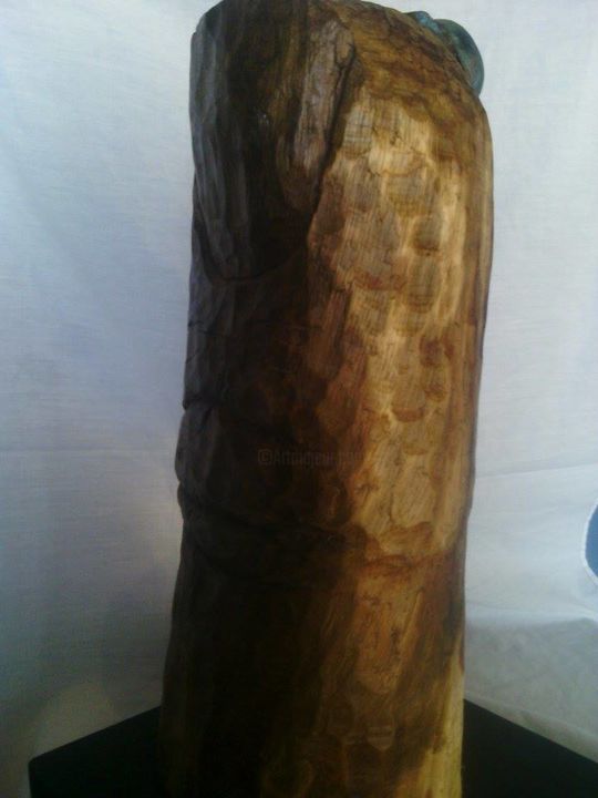 Sculpture titled "piel" by Damian, Original Artwork, Wood