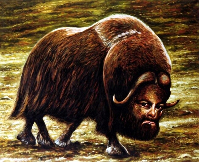 Pintura intitulada "Musk ox with selfpo…" por Dan Civa, Obras de arte originais, Óleo