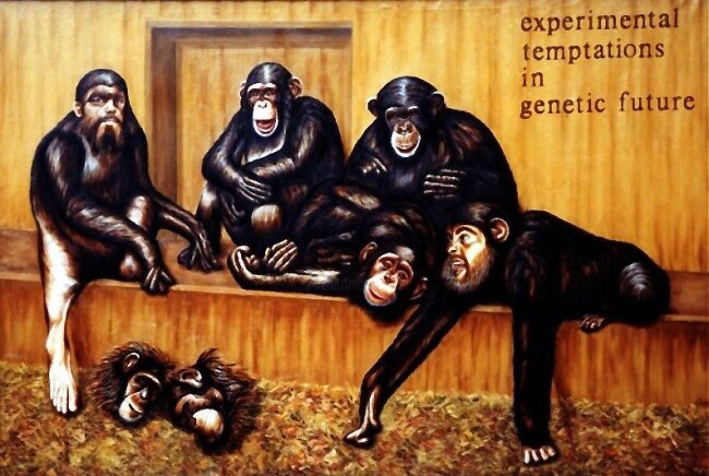 Schilderij getiteld "Chimpanzee-group wi…" door Dan Civa, Origineel Kunstwerk, Olie